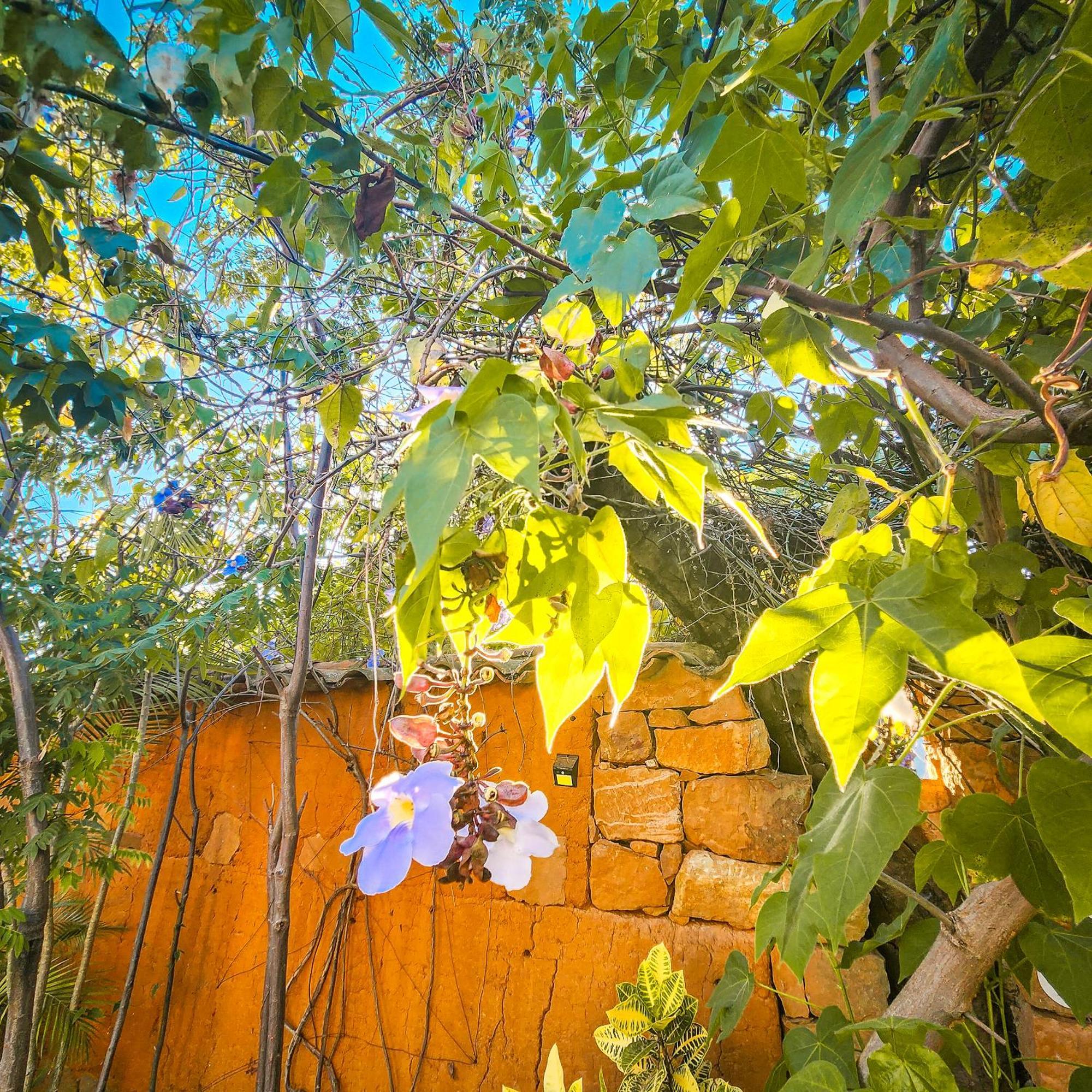 Hotel Casa Canela باريكارا المظهر الخارجي الصورة
