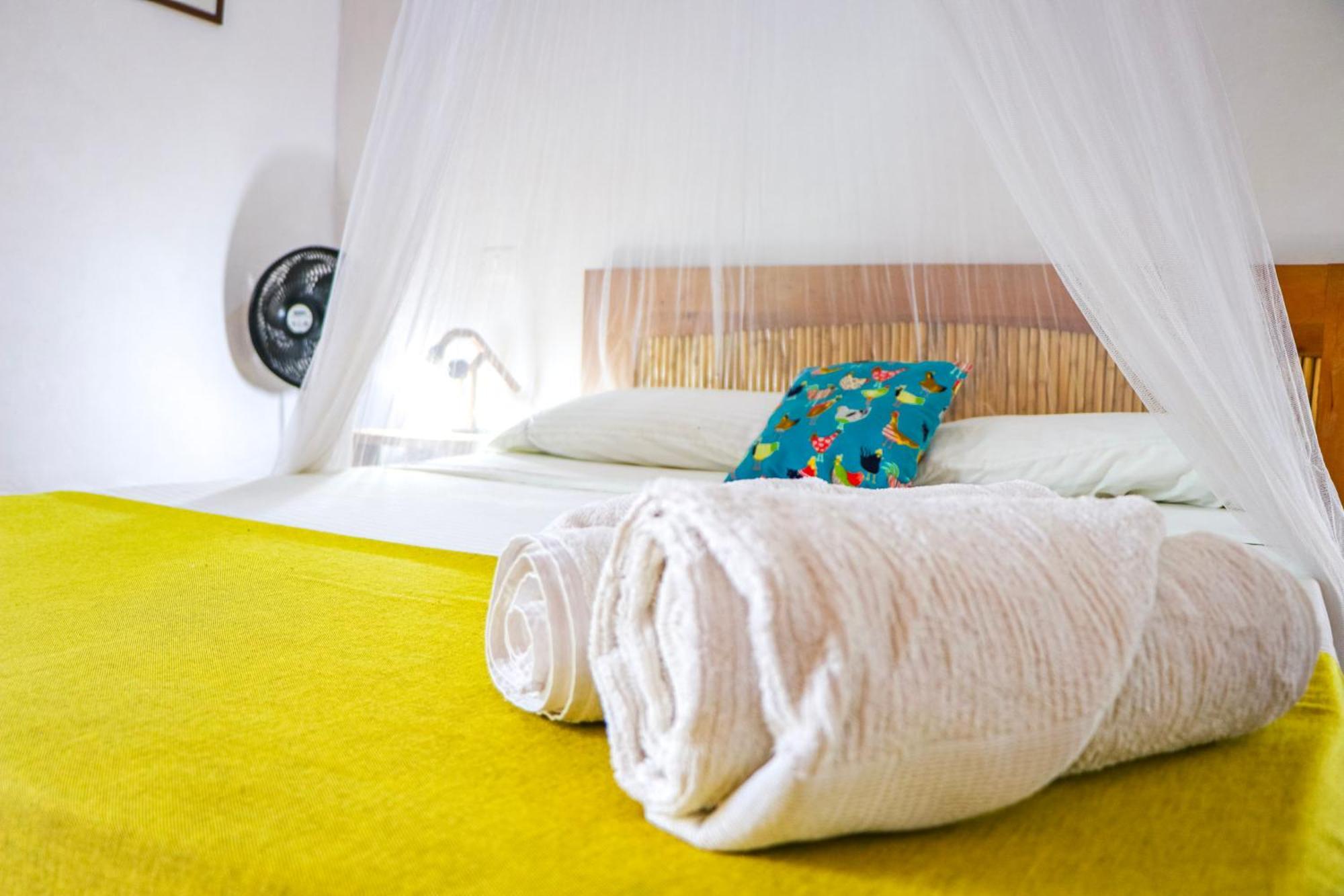 Hotel Casa Canela باريكارا المظهر الخارجي الصورة